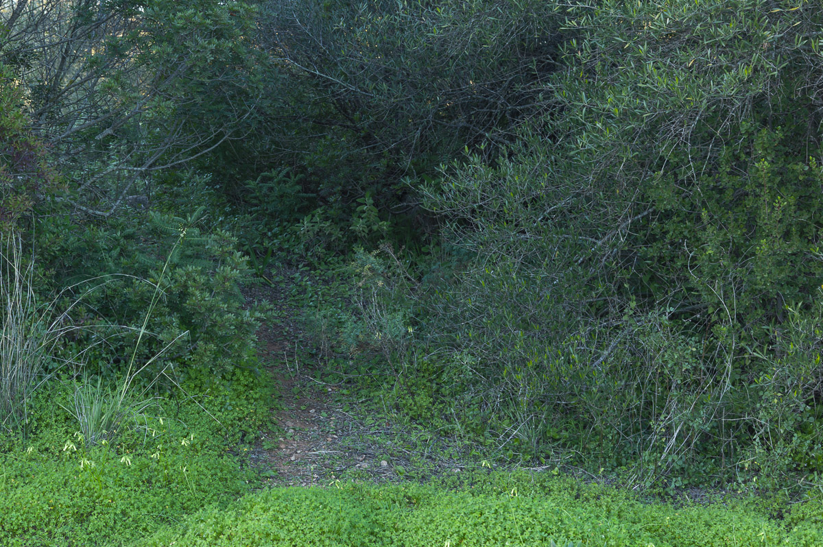 way-somewhereL1001127