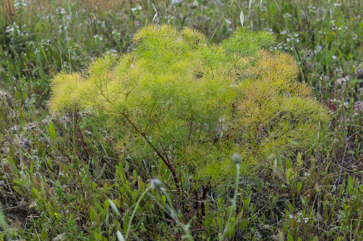 way-somewhereL1001138