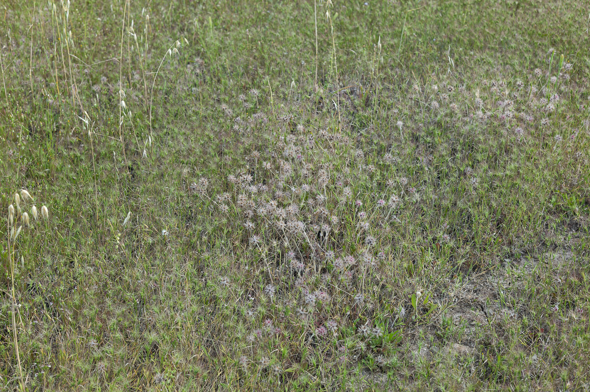 way-somewhereL1001139